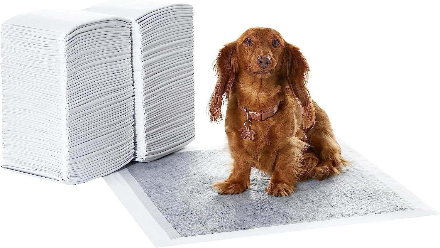 Leak-Proof Puppy Pee Pads with 5-Layer Quick-Dry Surface – Standard Absorbency Potty Training Pads, Various Quantities in Blue & White