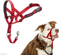 HALTI Headcollar for Medium Dogs - Adjustable, Reflective Anti-Pull Collar with Padded Nose Band