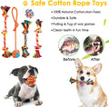 Dog Puppy 23-Pack Toys: Includes Chew, Squeak, Tug of War, and Treat Dispenser for Cleaning Teeth