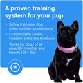 Halo Collar 3 – Wireless GPS Dog Fence & Training Collar with Real-Time Tracking, Waterproof and GPS-Enabled