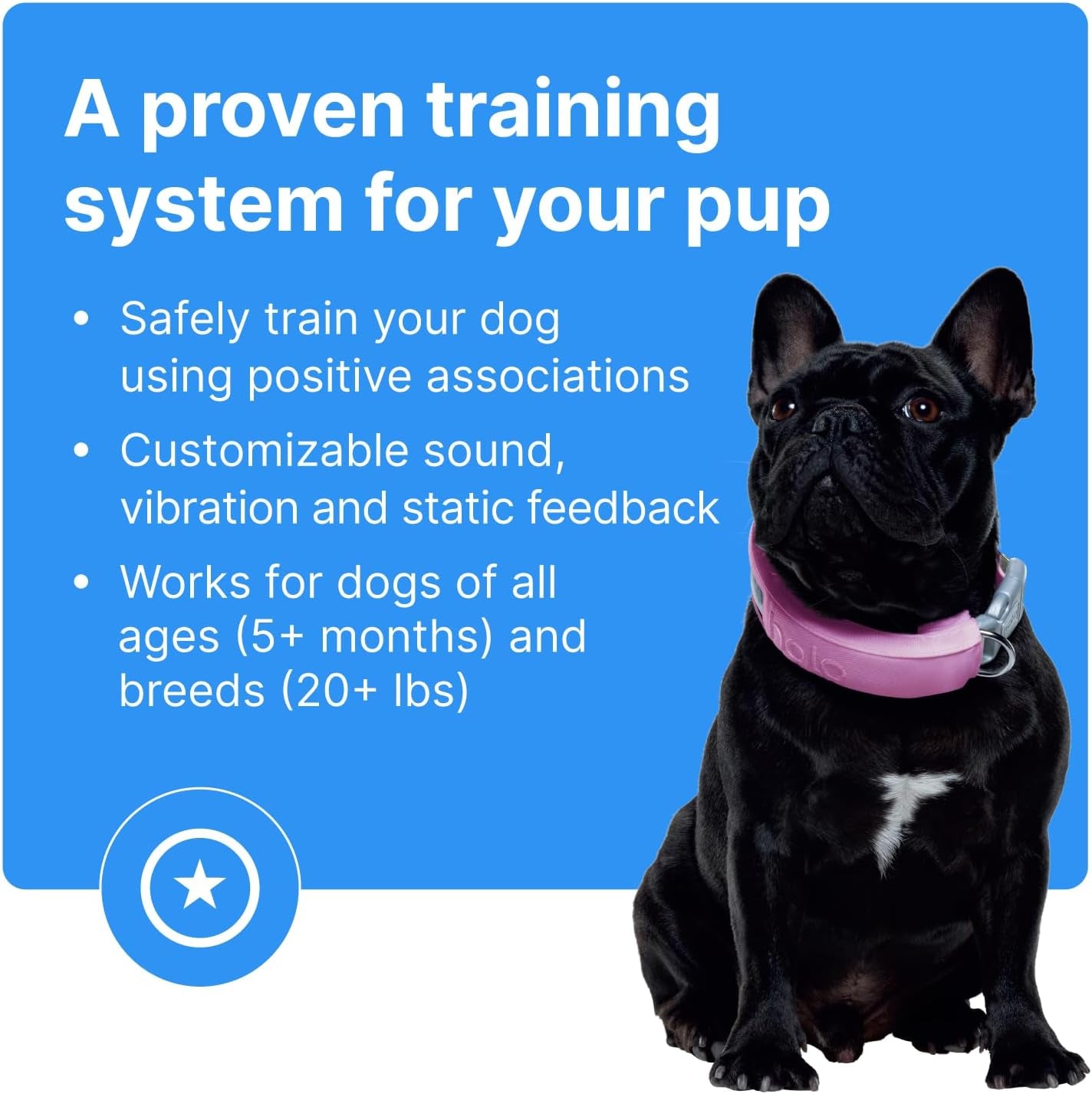 Halo Collar 3 – Wireless GPS Dog Fence & Training Collar with Real-Time Tracking, Waterproof and GPS-Enabled