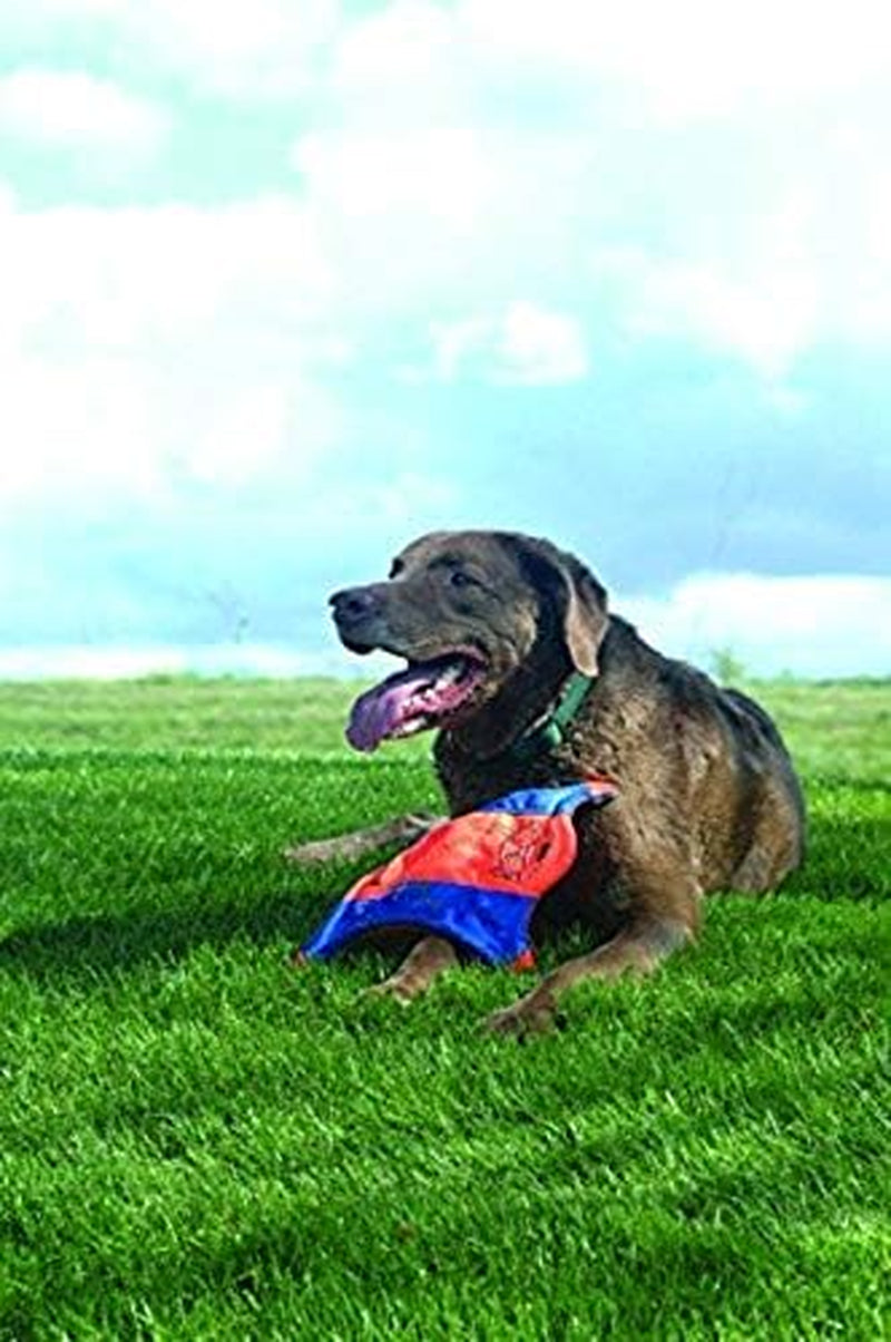 Chuckit! Medium Flying Squirrel Fetch Toy, Aerodynamic Design for Dogs, Orange & Blue