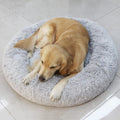 Small Calming Dog Bed - Anti-Anxiety, Washable, Fluffy, Waterproof, Anti-Slip Base