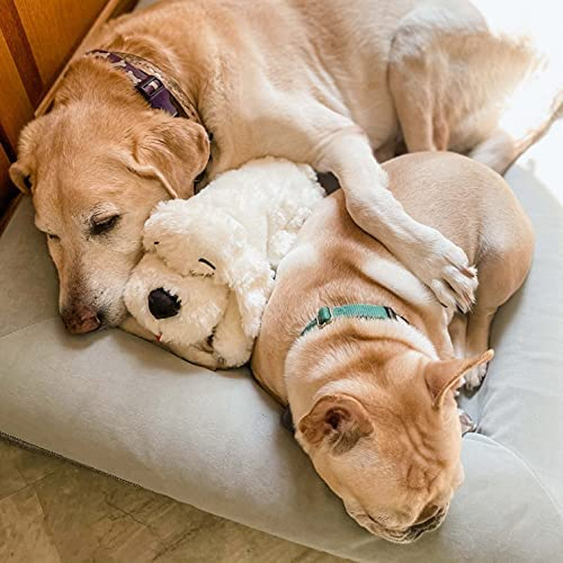 Smartpetlove Snuggle Puppy Heartbeat Toy - Golden Calming Aid for Pet Anxiety Relief - Soothing Plush Dog Toy