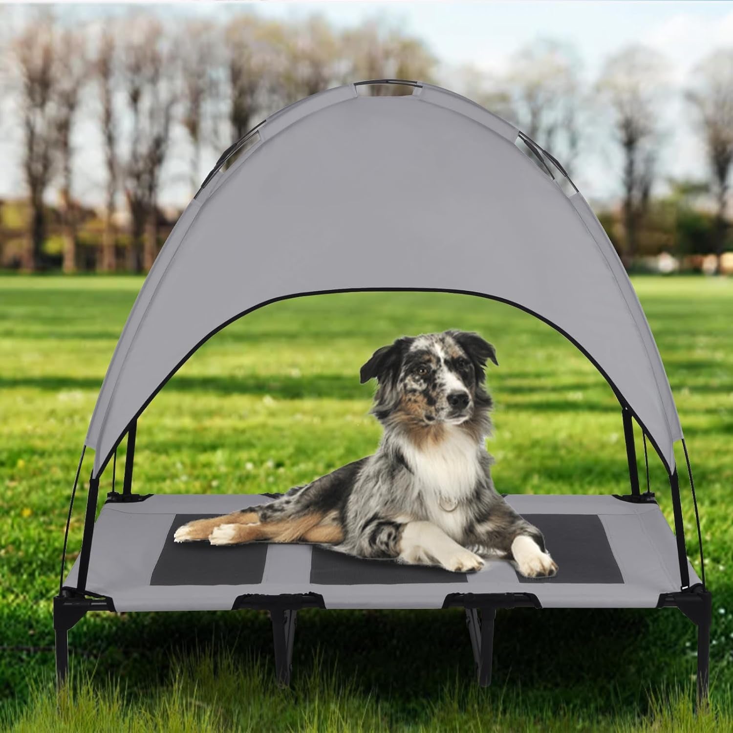 Elevated Outdoor Dog Bed with Canopy, 48-Inch, Waterproof, Portable - Dark Gray