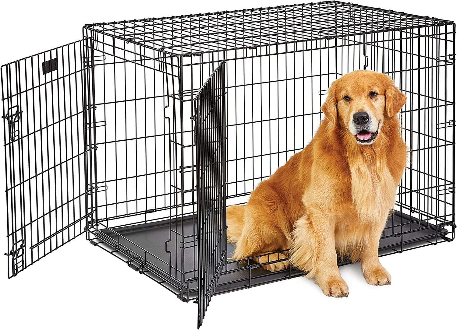 Midwest Life Stages 30" Double Door Folding Dog Crate - Medium Metal Dog Crate with Divider Panel, Floor Protecting Feet & Leak-Proof Pan