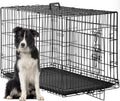 FDW Folding Metal Dog Crate with Double Door, Divider Panel & Leak-Proof Tray - Portable Kennel for Large Dogs,