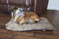 Waterproof Pet Bed – For Plastic Dog Kennels, Durable and Easy to Clean, Provides Extra Comfort for Your Pet