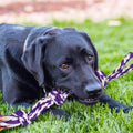 Large Breed Tough Chew Toy Set: 9-Piece Heavy Duty Dental Rope Kit for Aggressive Chewers