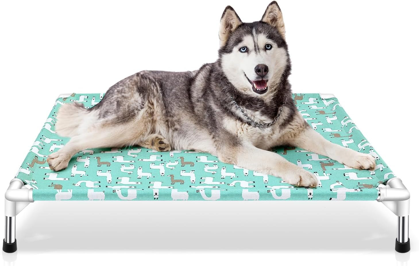 Elevated Dog Bed Pet Cot for Small Dogs, Indoor and Outdoor Use for Small Pets