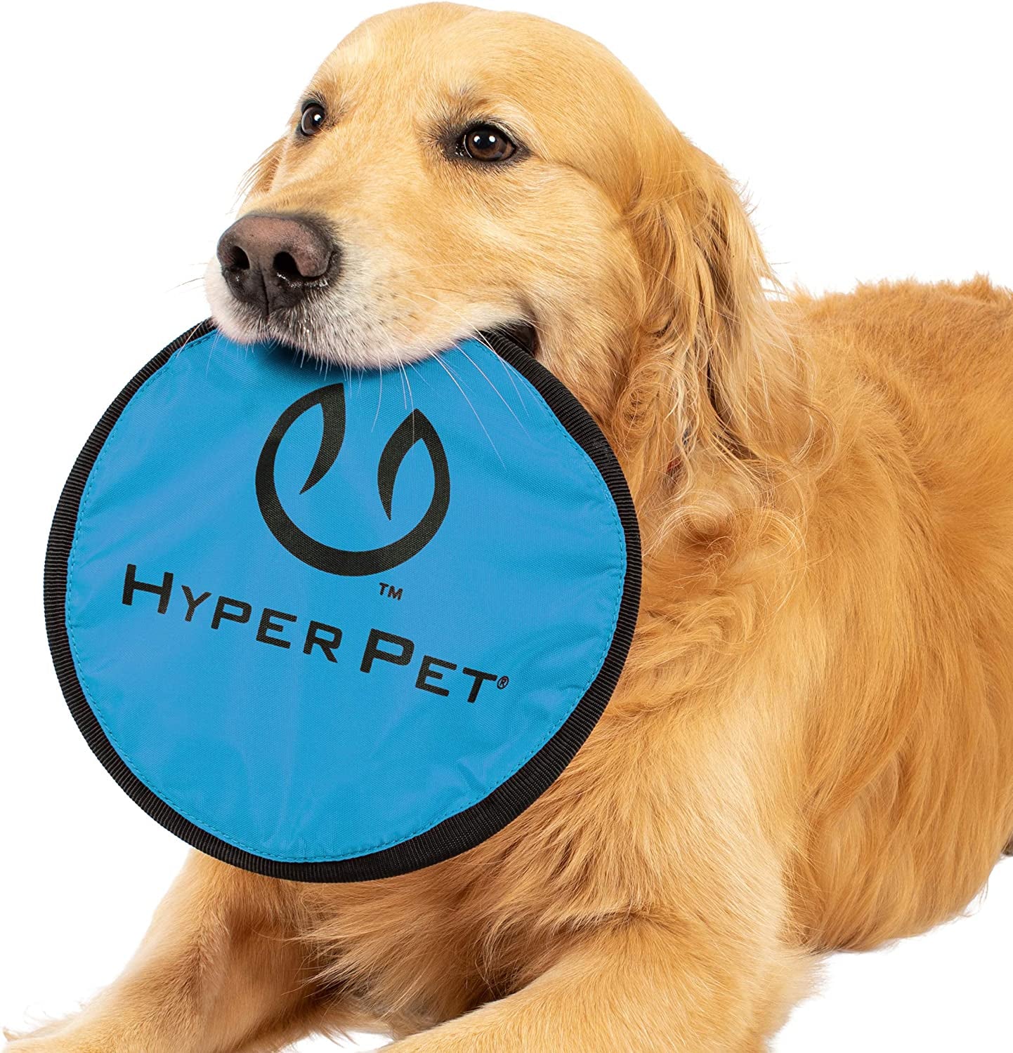 Hyper Pet Flippy Flopper 9" Flying Disc: Floats in Water, Safe on Teeth, 2-Pack, Assorted Colors