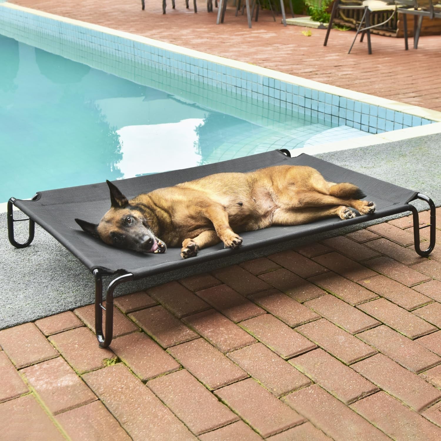 Elevated Outdoor Dog Bed, Raised, Waterproof, Breathable Teslin Mesh, Non-Slip, Up to 65lbs