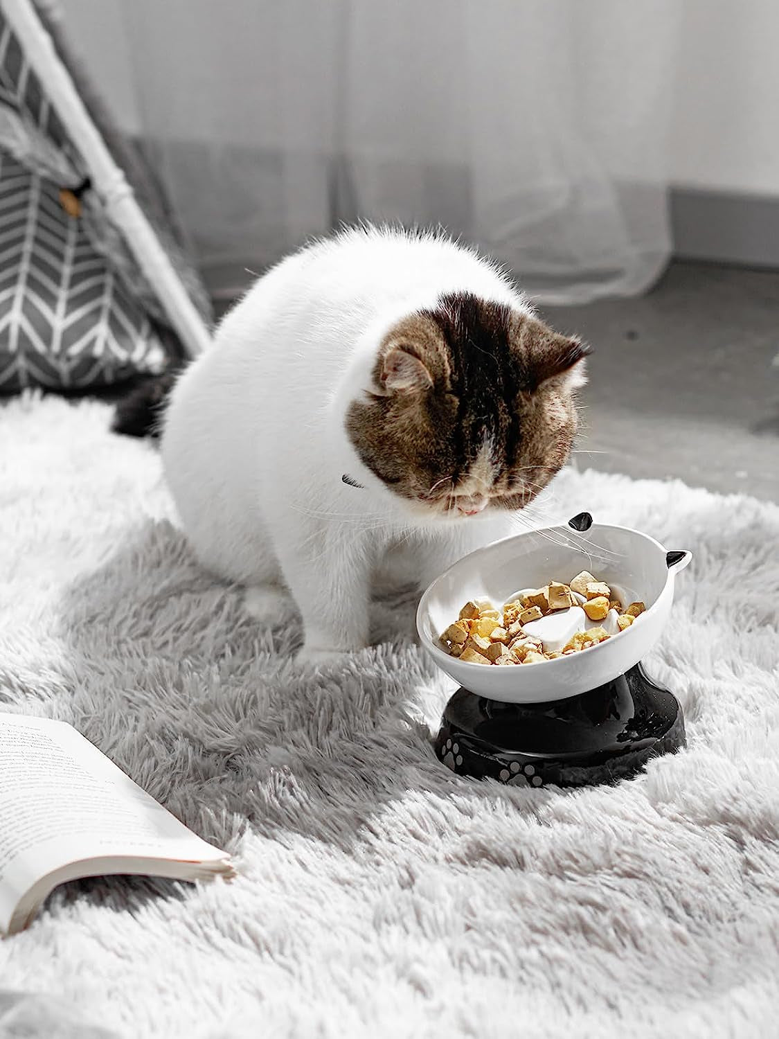 Elevated Slow Feeder Dog Bowl: Tilted Design for Dry and Wet Food