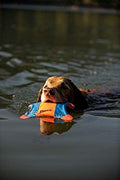 Chuckit! Medium Flying Squirrel Fetch Toy, Aerodynamic Design for Dogs, Orange & Blue