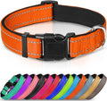 Joytale Large Reflective Dog Collar: Soft Neoprene Padded, Breathable Nylon, Adjustable, Teal
