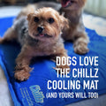 Chillz Large Dog Cooling Mat - Pressure Activated, No Water or Refrigeration Needed, Non-Toxic Gel, 36x20 Inch