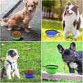 2-Pack Collapsible Dog Bowls with Carabiners: Small, Portable, Blue+Green for Travel