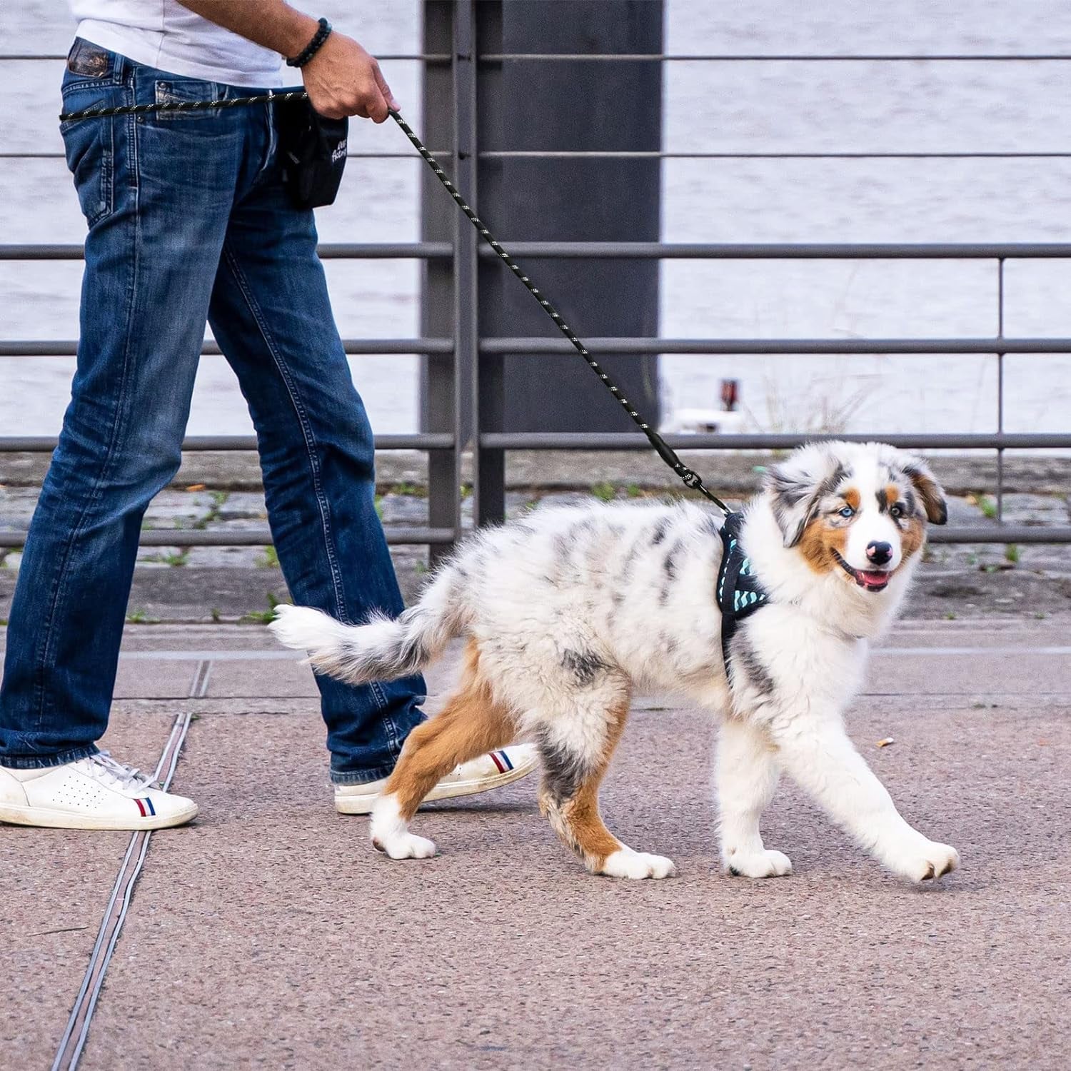 5 to 6FT Strong Dog Leash with Reflective Rope & Soft Padded Handle - Tangle-Free Metal Buckle, Perfect for Night Walking All Dog Sizes