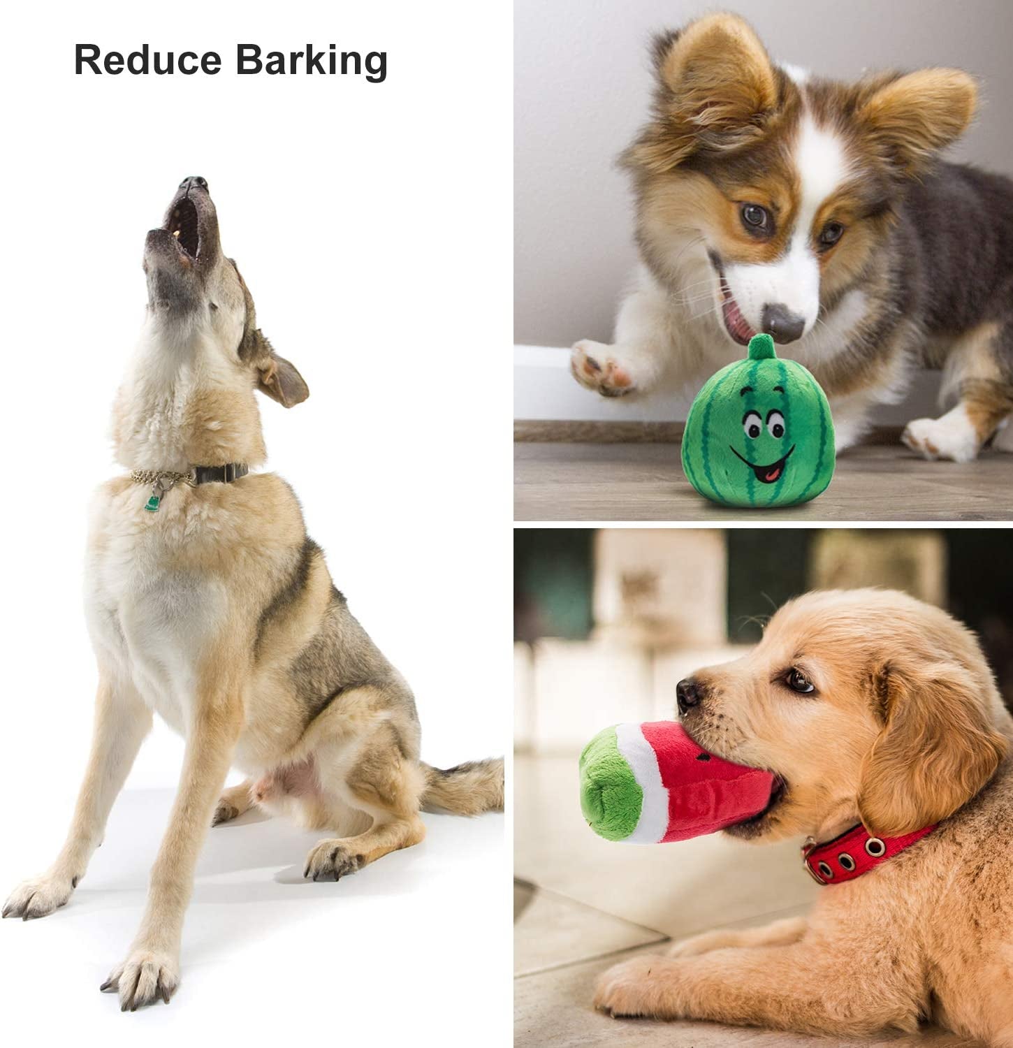 Nocciola 12-Piece Squeaky Dog Toy Set: Plush, Includes Carrying Bag for Small to Medium Dogs