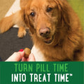 Greenies Pill Pockets Dog Treats, Cheese Flavor, Natural Soft Capsule-Size Treats for Dogs, for Easy Pill Administration