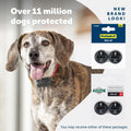 Petsafe RFA-67 6 Volt Replacement Batteries, 2-Pack, Ideal for Dog Receiver Collars, Reliable & Long-Lasting