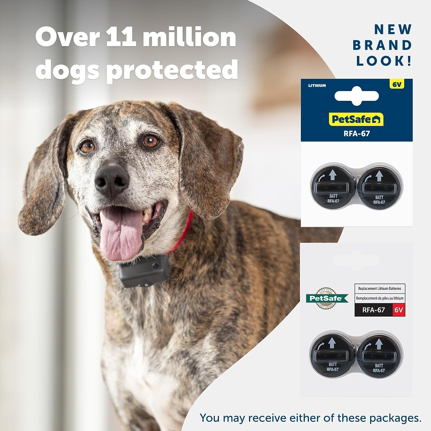 Petsafe RFA-67 6 Volt Replacement Batteries, 2-Pack, Ideal for Dog Receiver Collars, Reliable & Long-Lasting