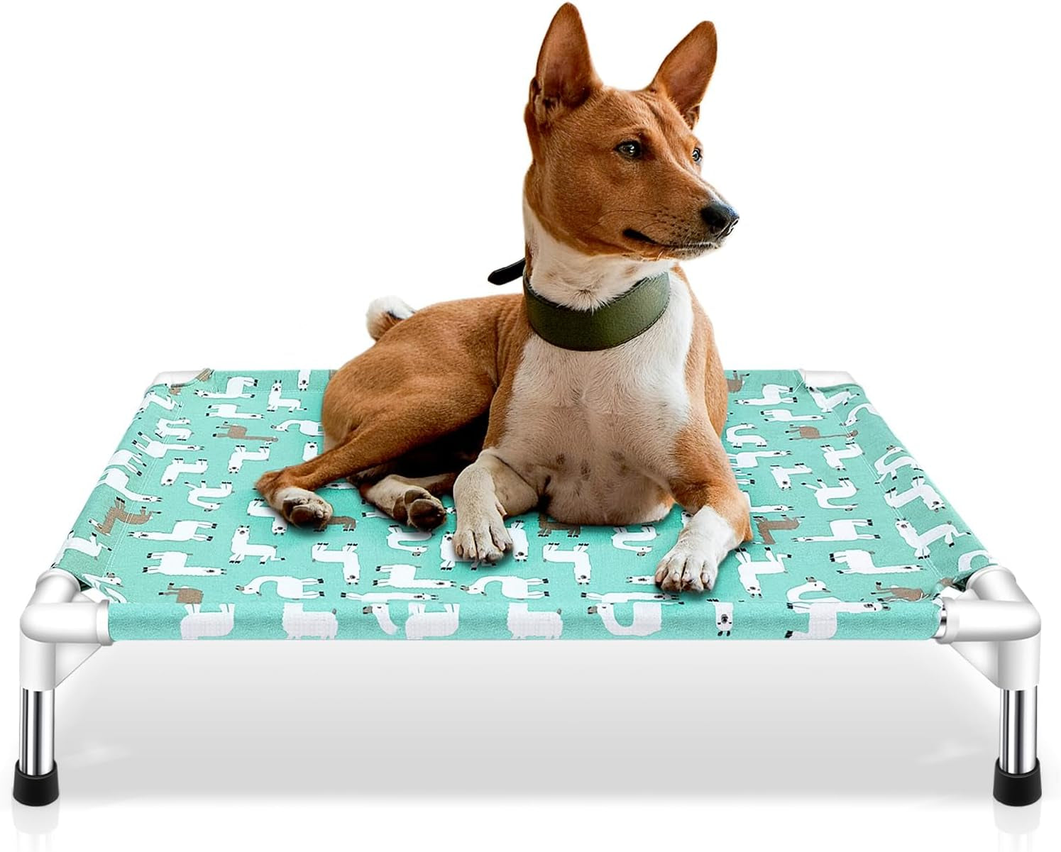 Elevated Dog Bed Pet Cot for Small Dogs, Indoor and Outdoor Use for Small Pets