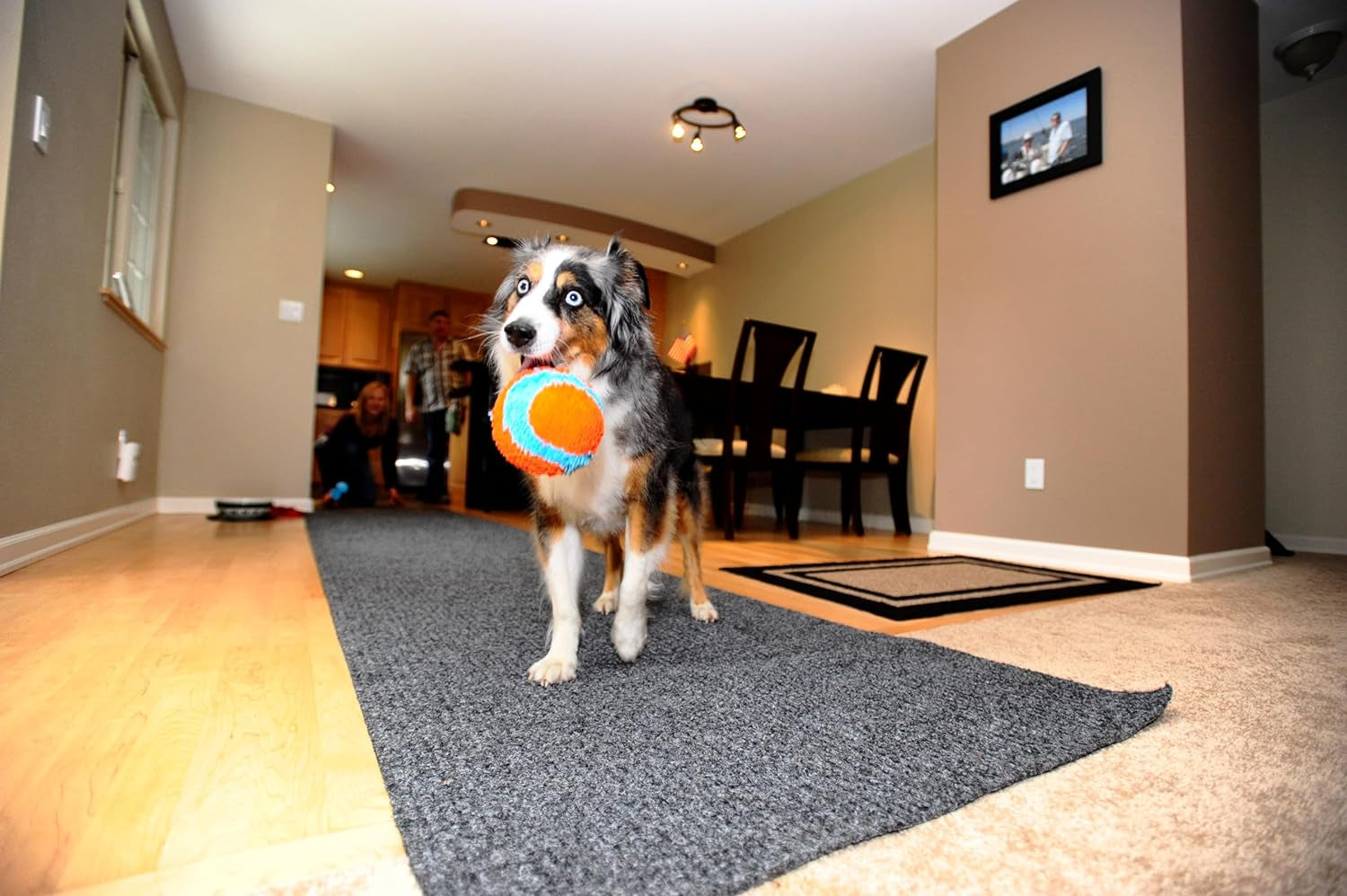 Chuckit Indoor Fetch Ball: Soft, Durable Dog Toy, 4.75 Inch, Orange/Blue