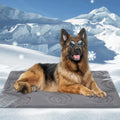 Large Dog Cooling Mat - Reversible Silicone Pet Cooling Pad, Durable & Washable, Ideal for Hot & Cold Use