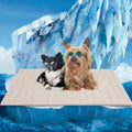 Large Dog Cooling Mat - Reversible Silicone Pet Cooling Pad, Durable & Washable, Ideal for Hot & Cold Use