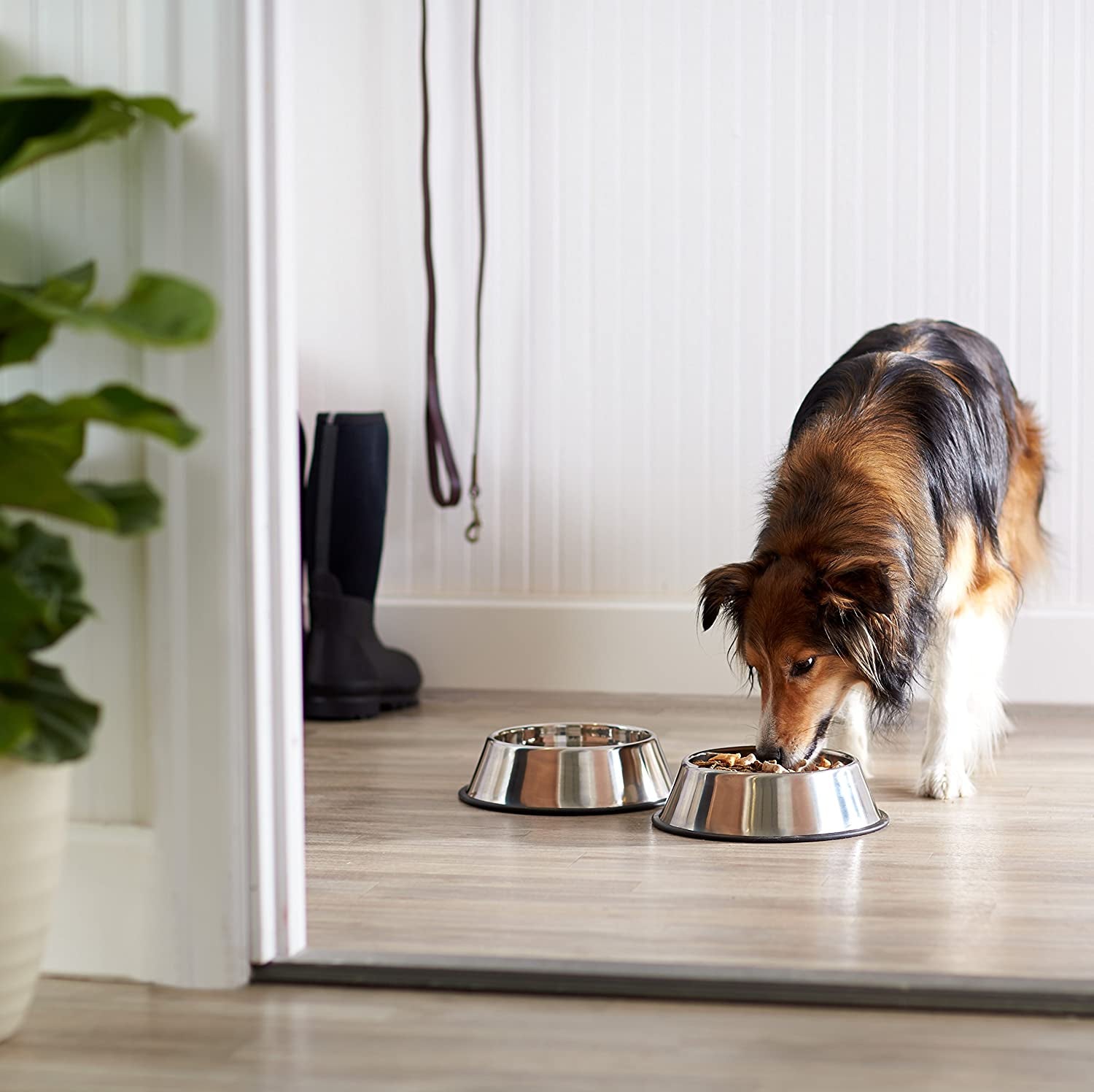 2-Pack Stainless Steel Dog Bowls: Non-Skid, 10x2.8 Inches, 4 Cups Each