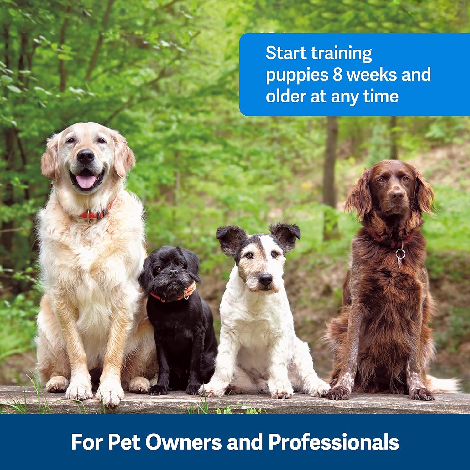Petsafe Clik-R Training Clicker for Dogs: Enhance Positive Behavior, Includes Training Guide, Purple or Blue