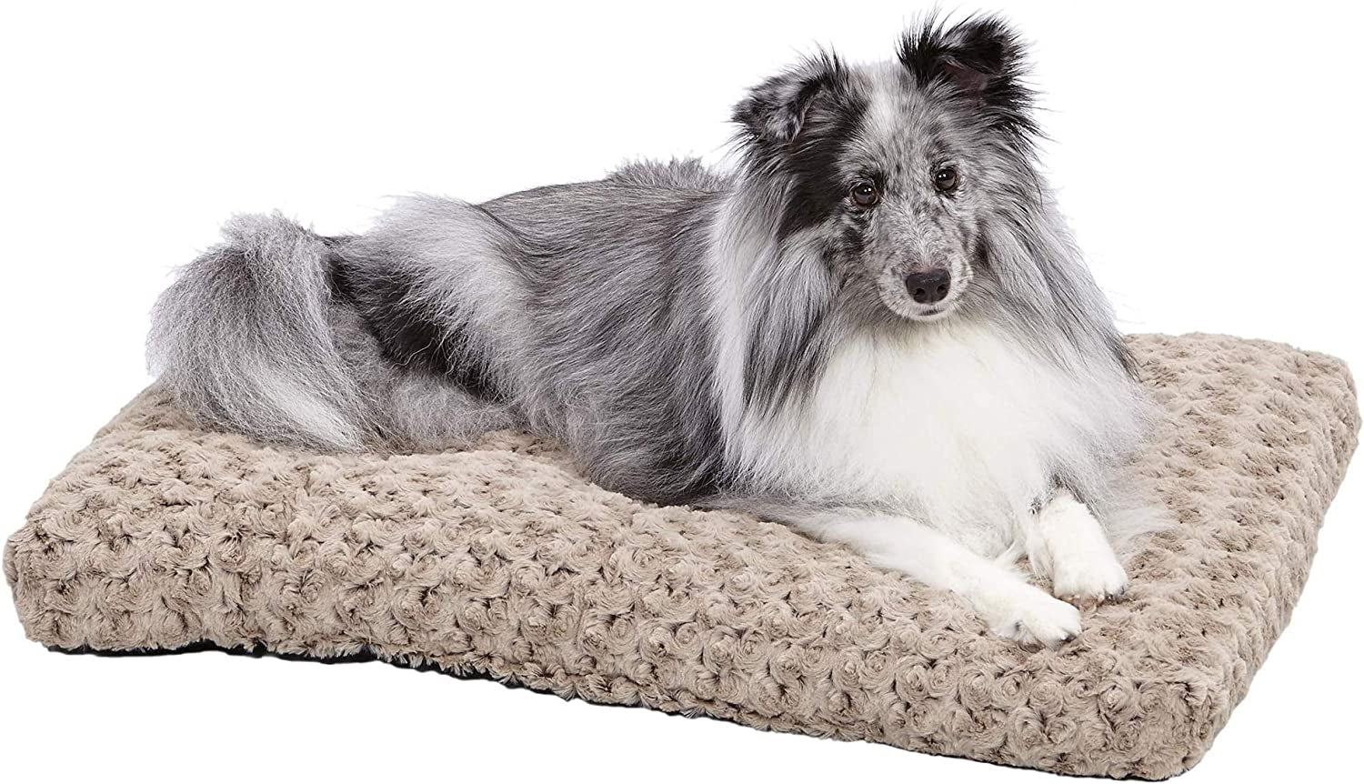 Midwest Homes for Pets Plush Pet Bed - Ombré Swirl, for Small Dog Breeds, 17x11x1.5 Inch