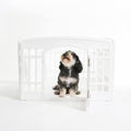 IRIS USA 4-Panel Dog Playpen with Door – Foldable, Customizable Indoor/Outdoor Puppy Playpen, Easy to Assemble, Portable Pet Pen