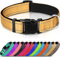 Joytale Large Reflective Dog Collar: Soft Neoprene Padded, Breathable Nylon, Adjustable, Teal