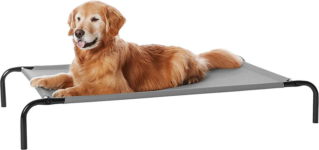 Amazon Basics Cooling Elevated Dog Bed with Metal Frame, Various Sizes + Colors