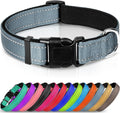 Joytale Large Reflective Dog Collar: Soft Neoprene Padded, Breathable Nylon, Adjustable, Teal