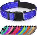 Joytale Large Reflective Dog Collar: Soft Neoprene Padded, Breathable Nylon, Adjustable, Teal