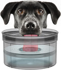 1-Gallon No Spill Dog Water Bowl - Large Capacity, BPA-Free, Anti-Splash with Non-Slip Base