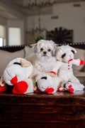 Multipet Plush Dog Toy, Lambchop, 10