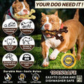 2-Pack Tough Dog Chew Toys for Aggressive Chewers: Durable, Teeth Cleaning, Medium/Large Breed