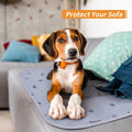 Washable Puppy Pads – Absorbent, Reusable Non-Slip Dog Pee Pads with Bone Print