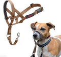 HALTI Headcollar for Medium Dogs - Adjustable, Reflective Anti-Pull Collar with Padded Nose Band