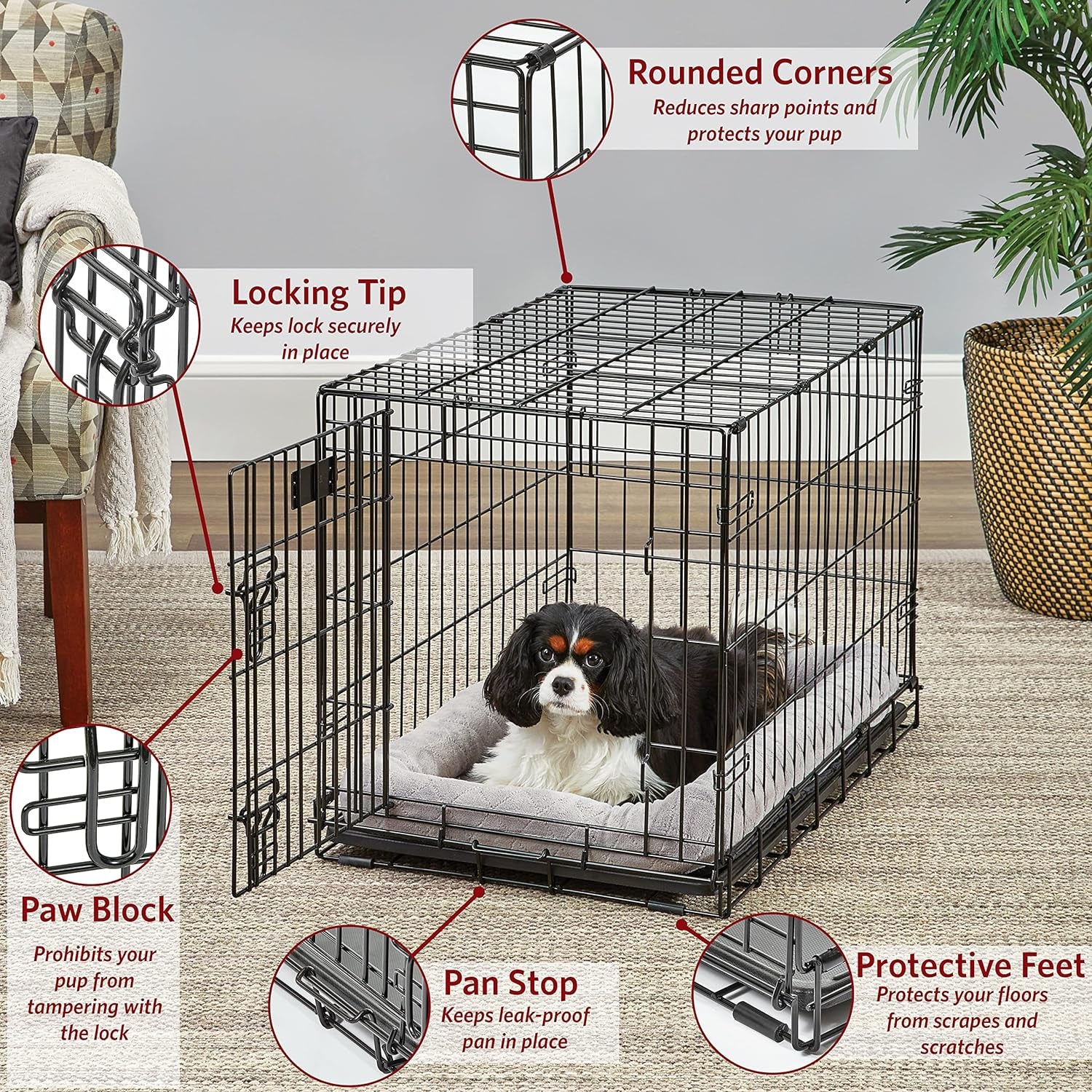 Midwest Life Stages 30" Double Door Folding Dog Crate - Medium Metal Dog Crate with Divider Panel, Floor Protecting Feet & Leak-Proof Pan