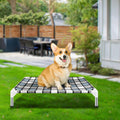 Elevated Taste Life Pet Bed, Raised Dog Cot for Small Pets - Comfort & Style