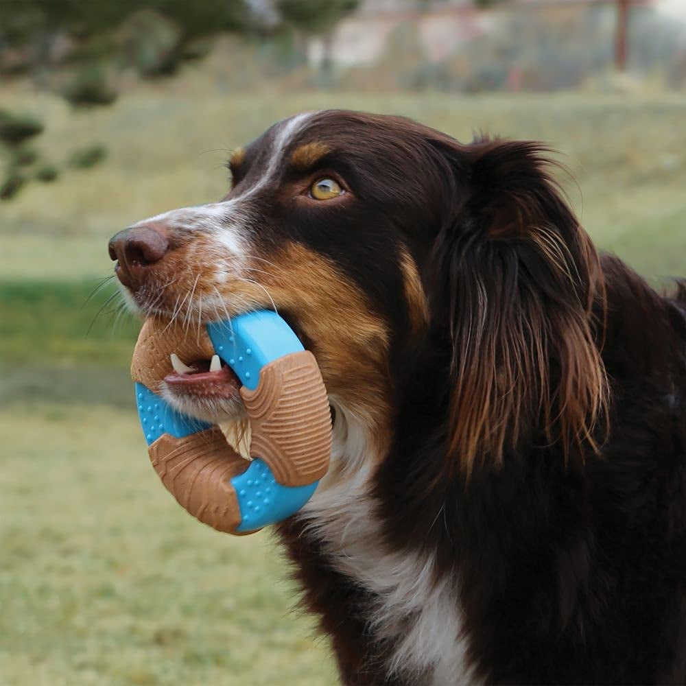 KONG Corestrength Bamboo Ring – Durable Dental Chew Toy, Enrichment Toy with Raised Nubs for Teeth & Gum Cleaning