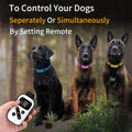 Petjoy Shock Collar for Large Dogs, Automatic Bark Collar, Auto Bark and Training Collar Combo - 3 Dog Shock Collar with Remote, Beep, Vibration and Shock