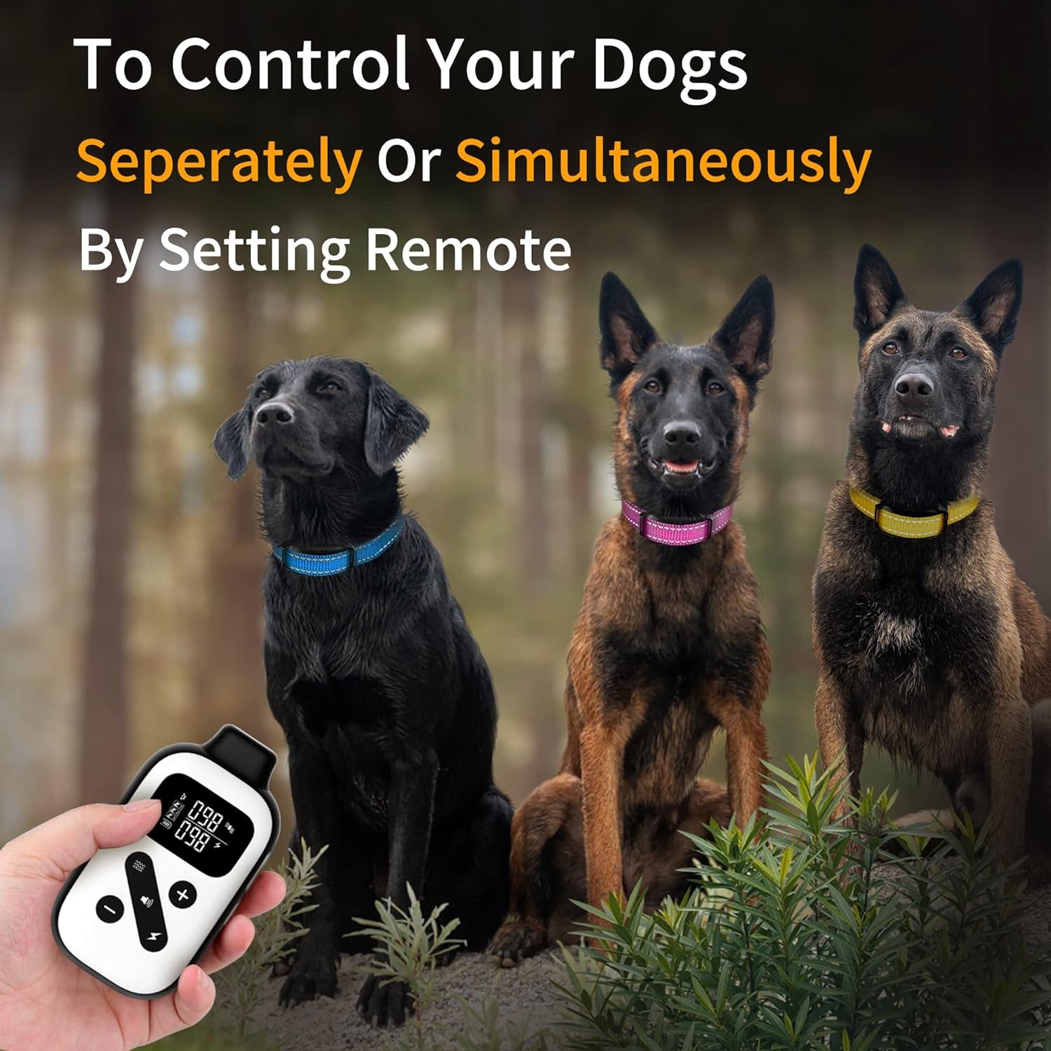 Petjoy Shock Collar for Large Dogs, Automatic Bark Collar, Auto Bark and Training Collar Combo - 3 Dog Shock Collar with Remote, Beep, Vibration and Shock