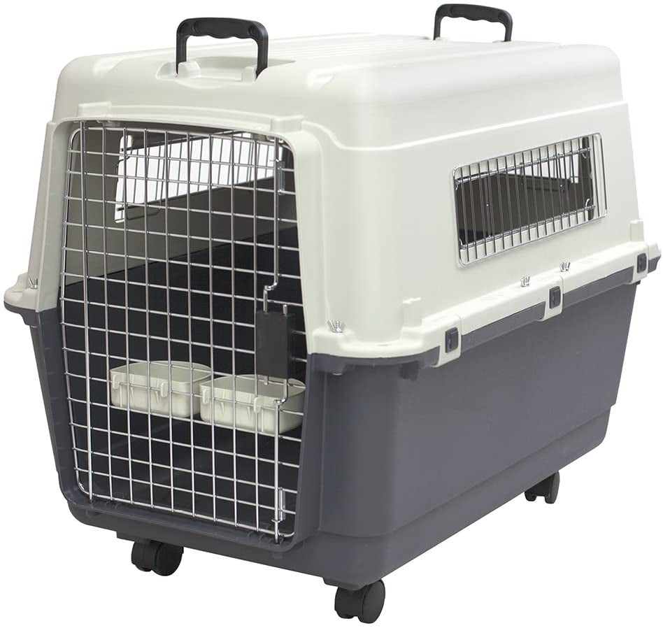 Sportpet Rolling Plastic Travel Dog Crate - Medium Gray Kennel with Wire Door, Portable & Durable, Perfect for Safe Pet Travel