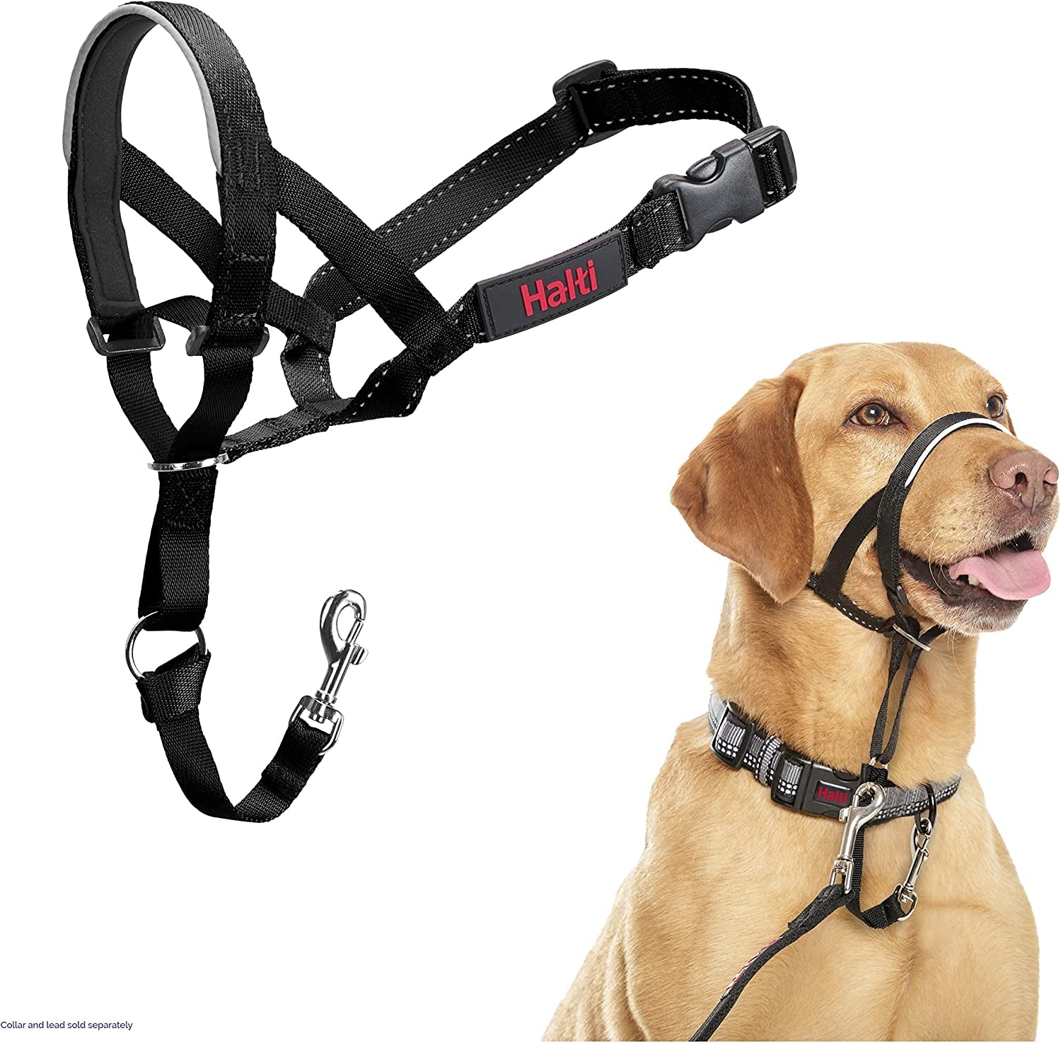 HALTI Headcollar for Medium Dogs - Adjustable, Reflective Anti-Pull Collar with Padded Nose Band